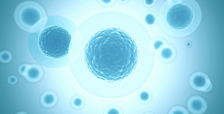 什么是原发性卵巢功能不全？